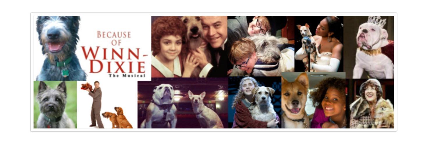WilliamBerloni's profile banner image
