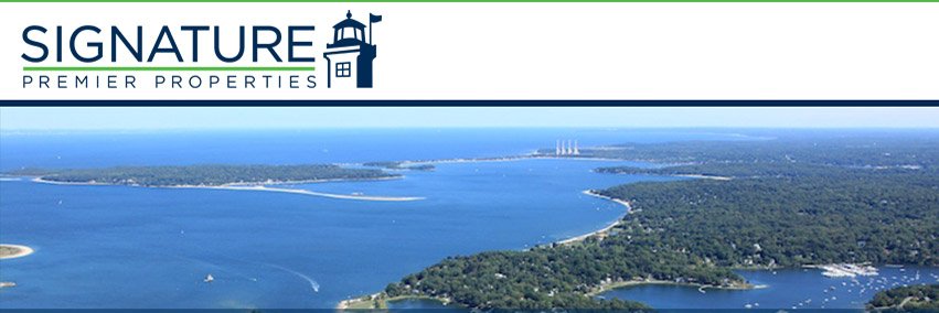 Lisa Pearl Klein banner