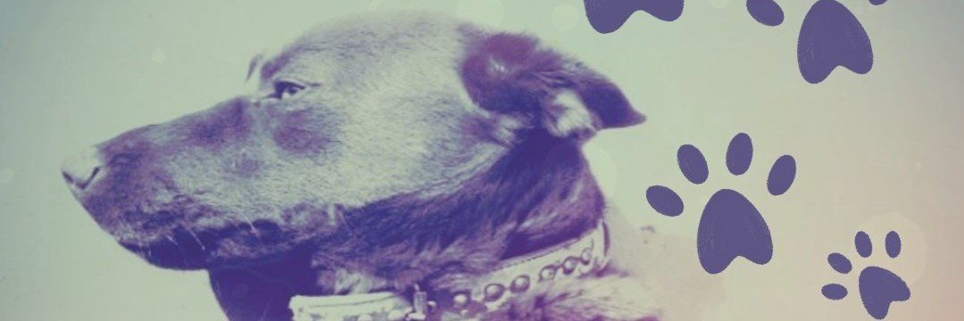 ailen_ram's profile banner image