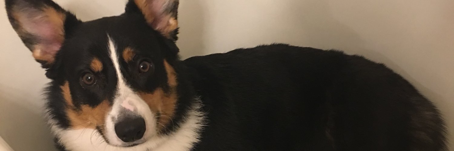 the_schneed's profile banner image