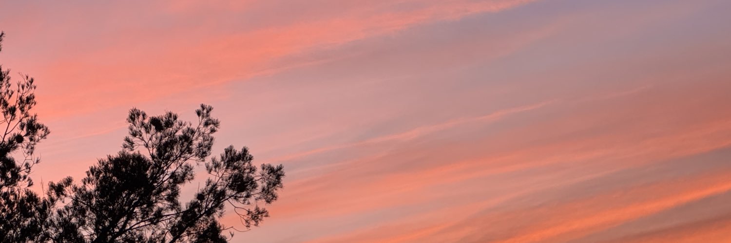 abril_sanchezm's profile banner image