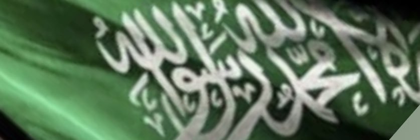😍 banner