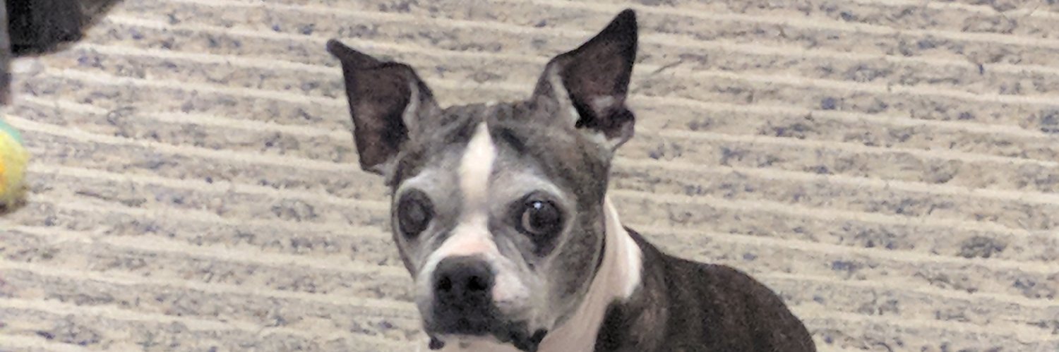 @TheRealLager banner