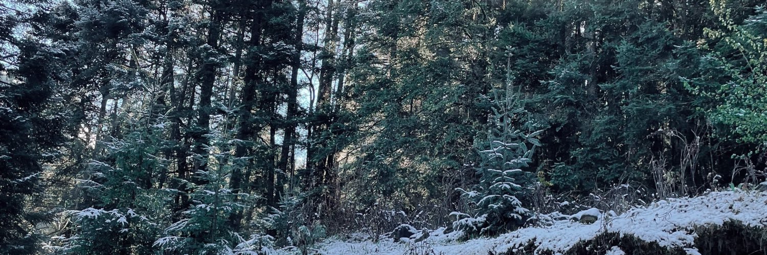 aideecondoble_e's profile banner image