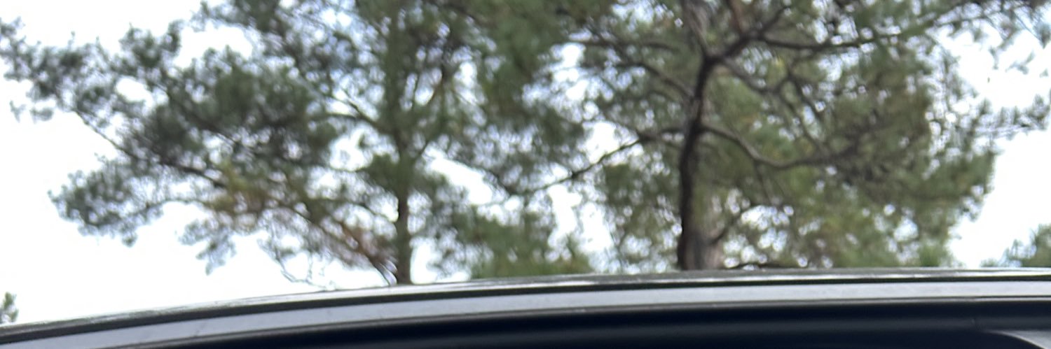 LikeEnithing's profile banner image