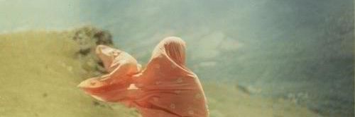 A. banner