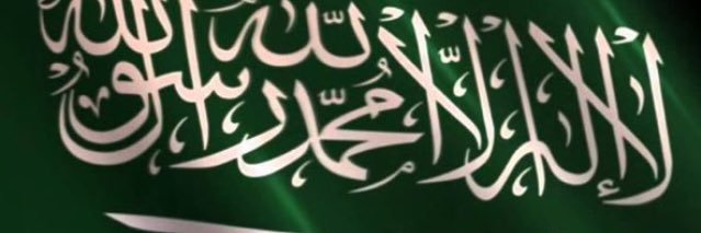 SAlsedeari's profile banner image