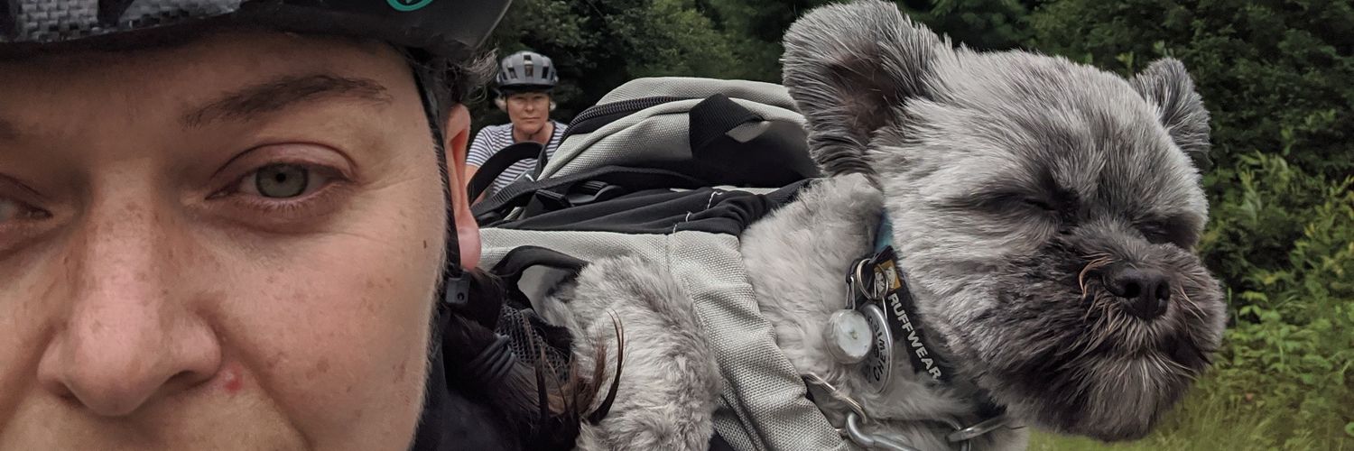 EllenLye's profile banner image