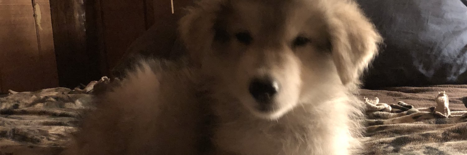 Deano4025's profile banner image