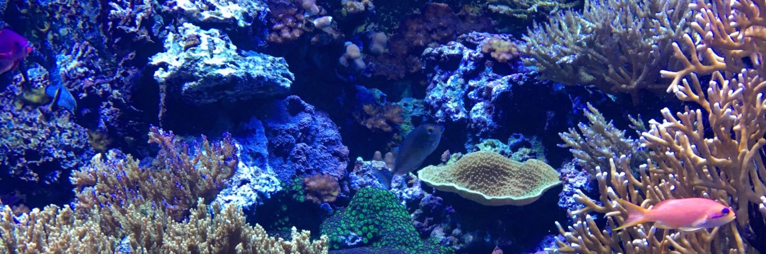 Dude Killian + banner