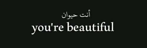 AreejAshraf__'s profile banner image