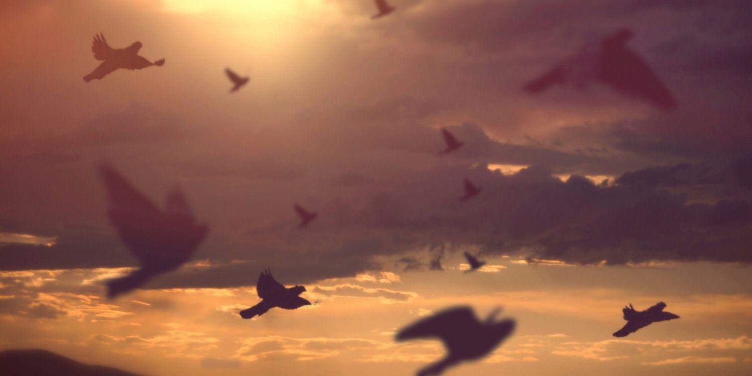 lisabillybobs's profile banner image