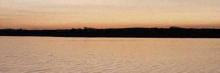 CatuPicotte's profile banner image