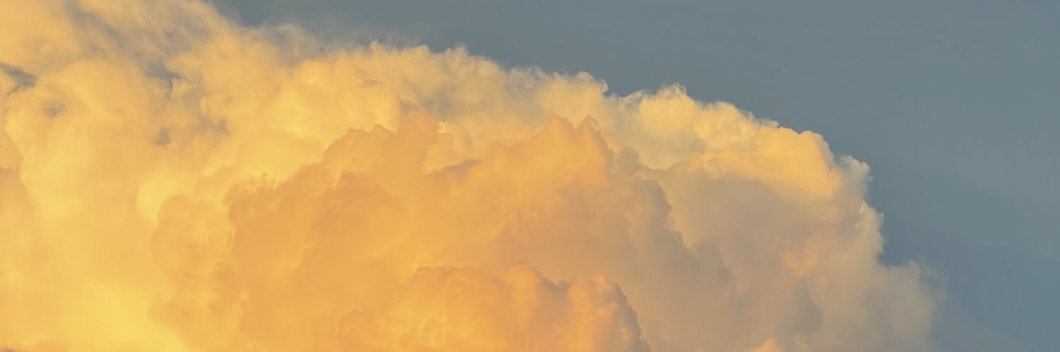 truyouright's profile banner image
