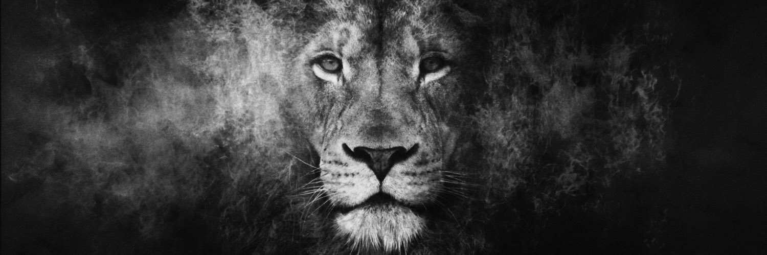 __tahlaaaa's profile banner image