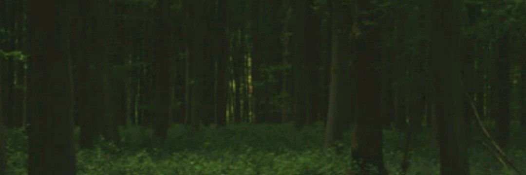 qjim_'s profile banner image