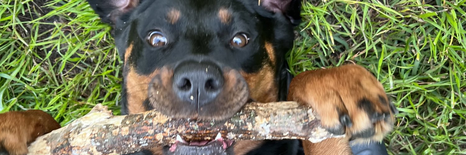 cyddk3's profile banner image
