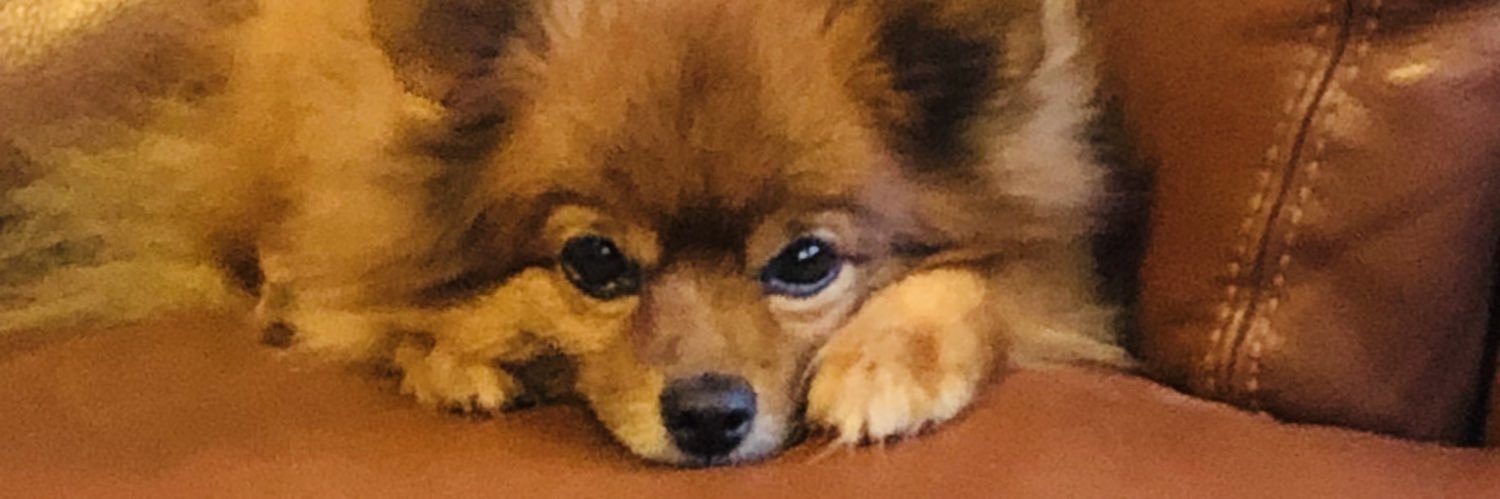 cadolfoe's profile banner image