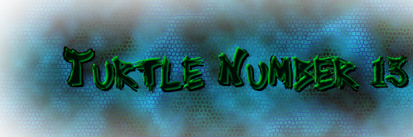 Turtlenumber13 Profile Banner
