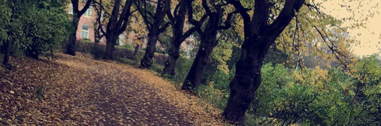 Ingeborg_Mathea's profile banner image