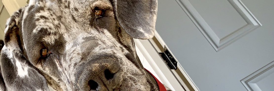 BroMarchant13's profile banner image