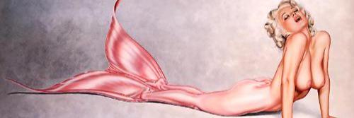 HayleyAherne's profile banner image