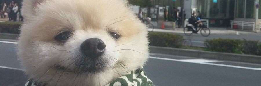 ReillyFirkins's profile banner image