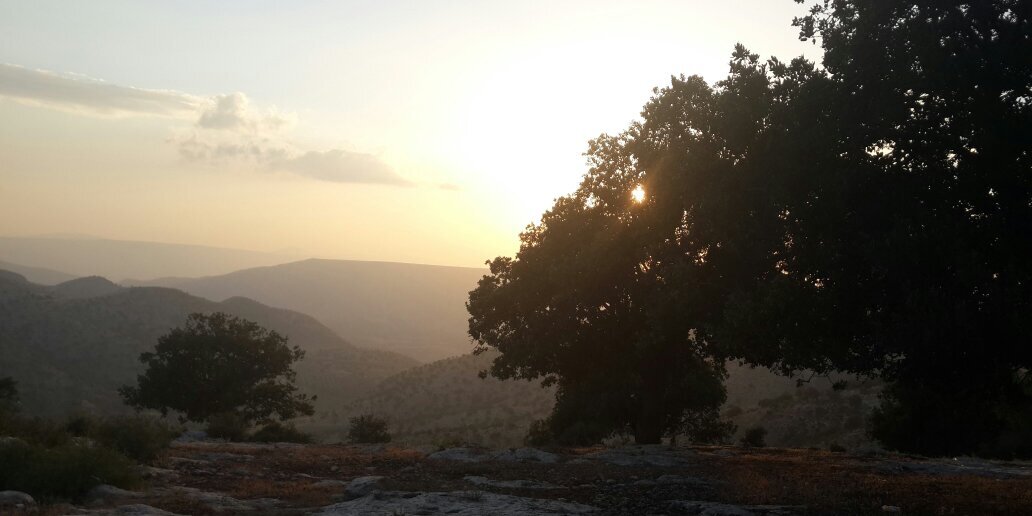 MansourMAZ's profile banner image