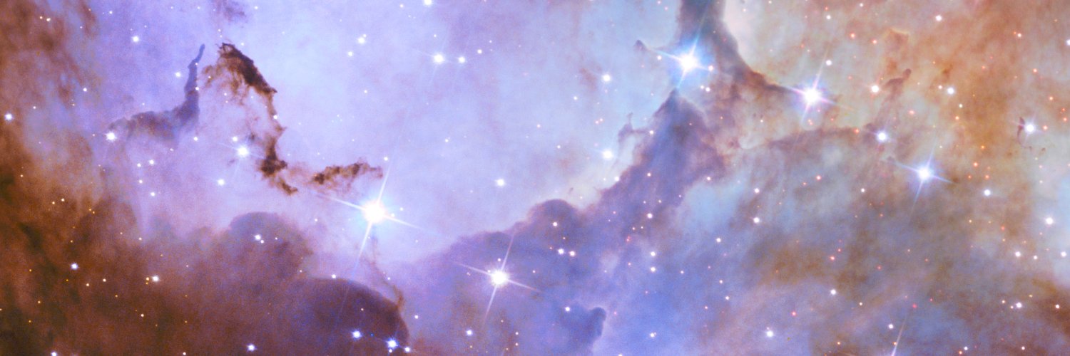 karinekikuchi's profile banner image