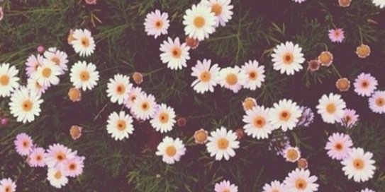 Share_mm's profile banner image
