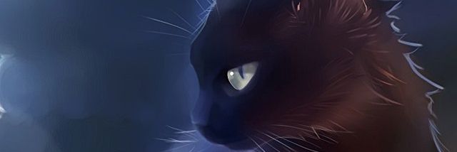 Stoner462's profile banner image