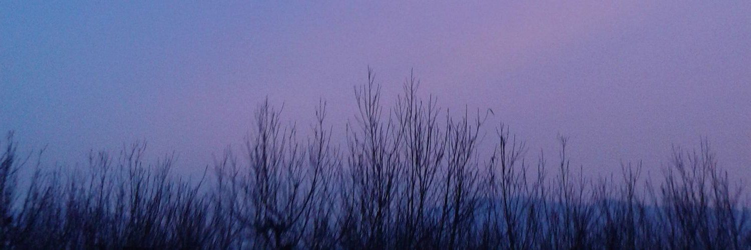 CataXx1D's profile banner image
