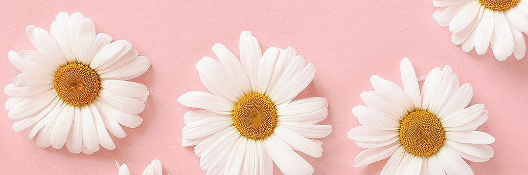 _HannahMichele's profile banner image