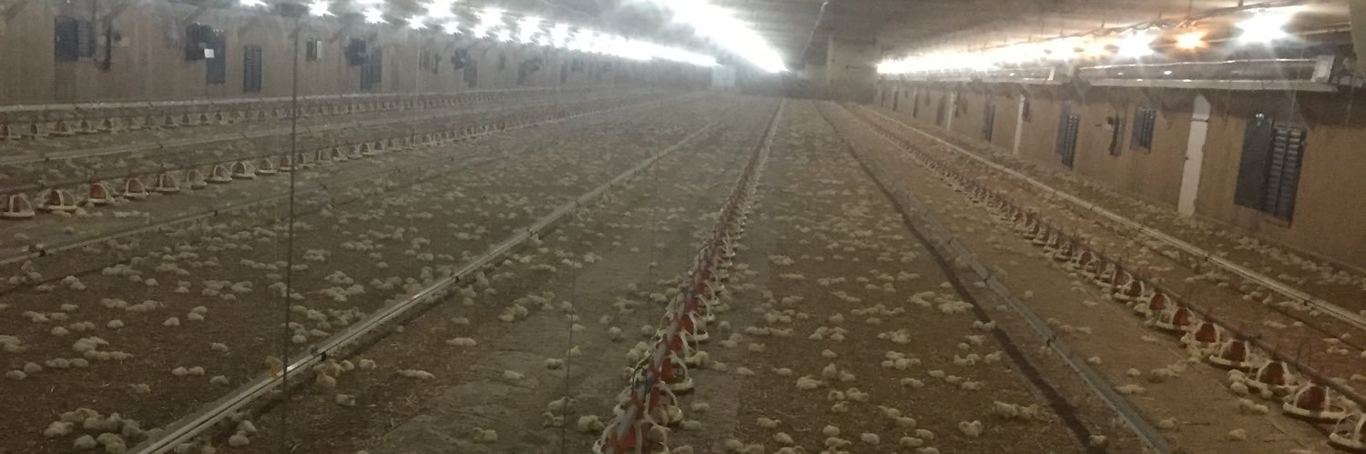 Darryl Schipper banner