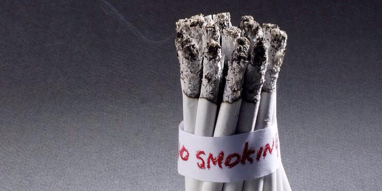 Cindy Fatimasari banner