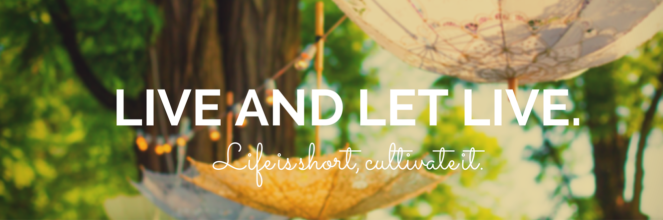 AnotherWildHare's profile banner image