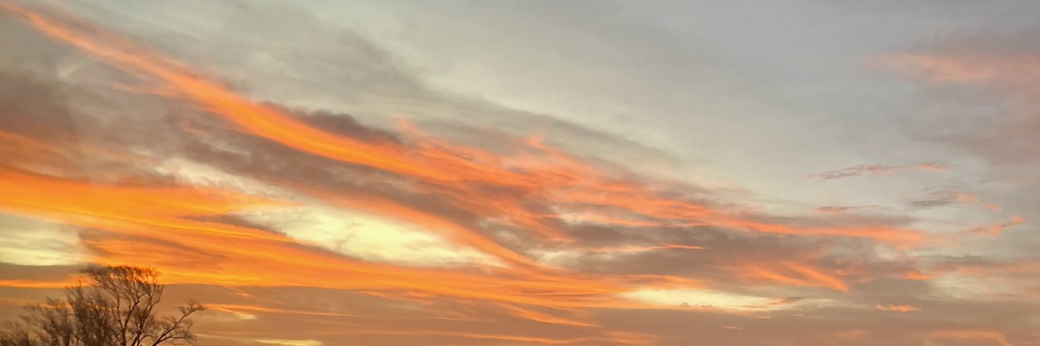 camipresent's profile banner image