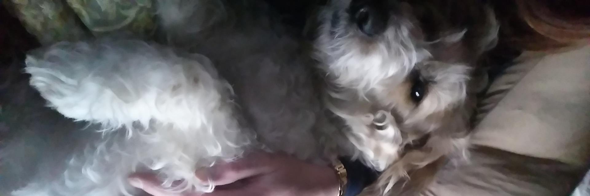 caterenavic's profile banner image