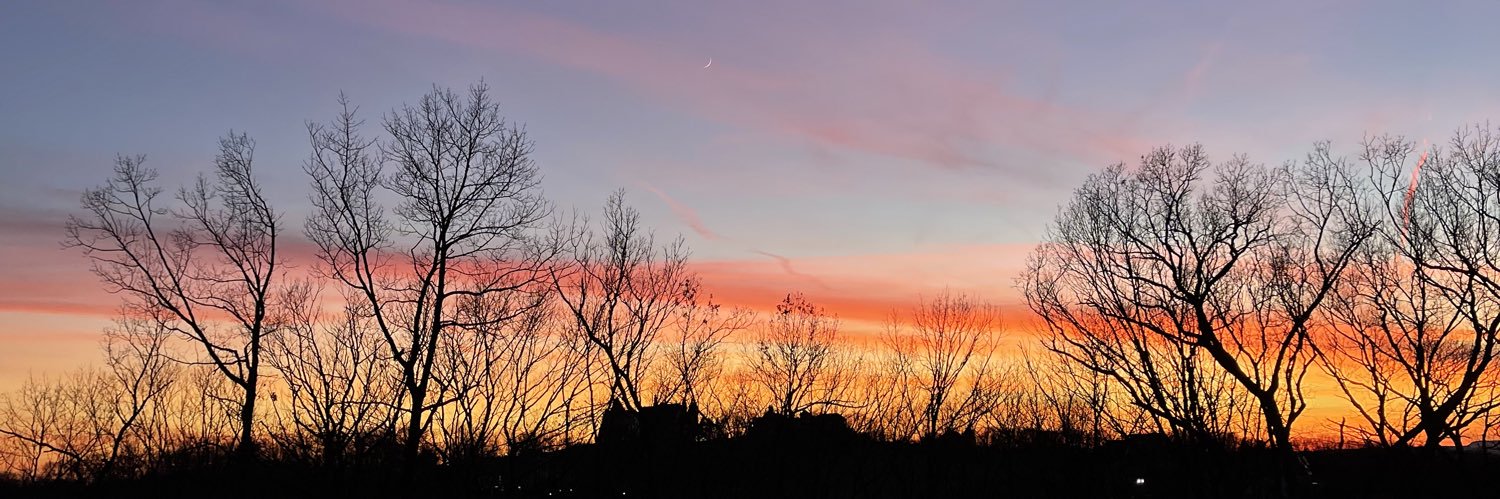 therealtymase's profile banner image
