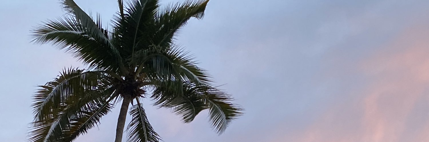 TesaRomero's profile banner image
