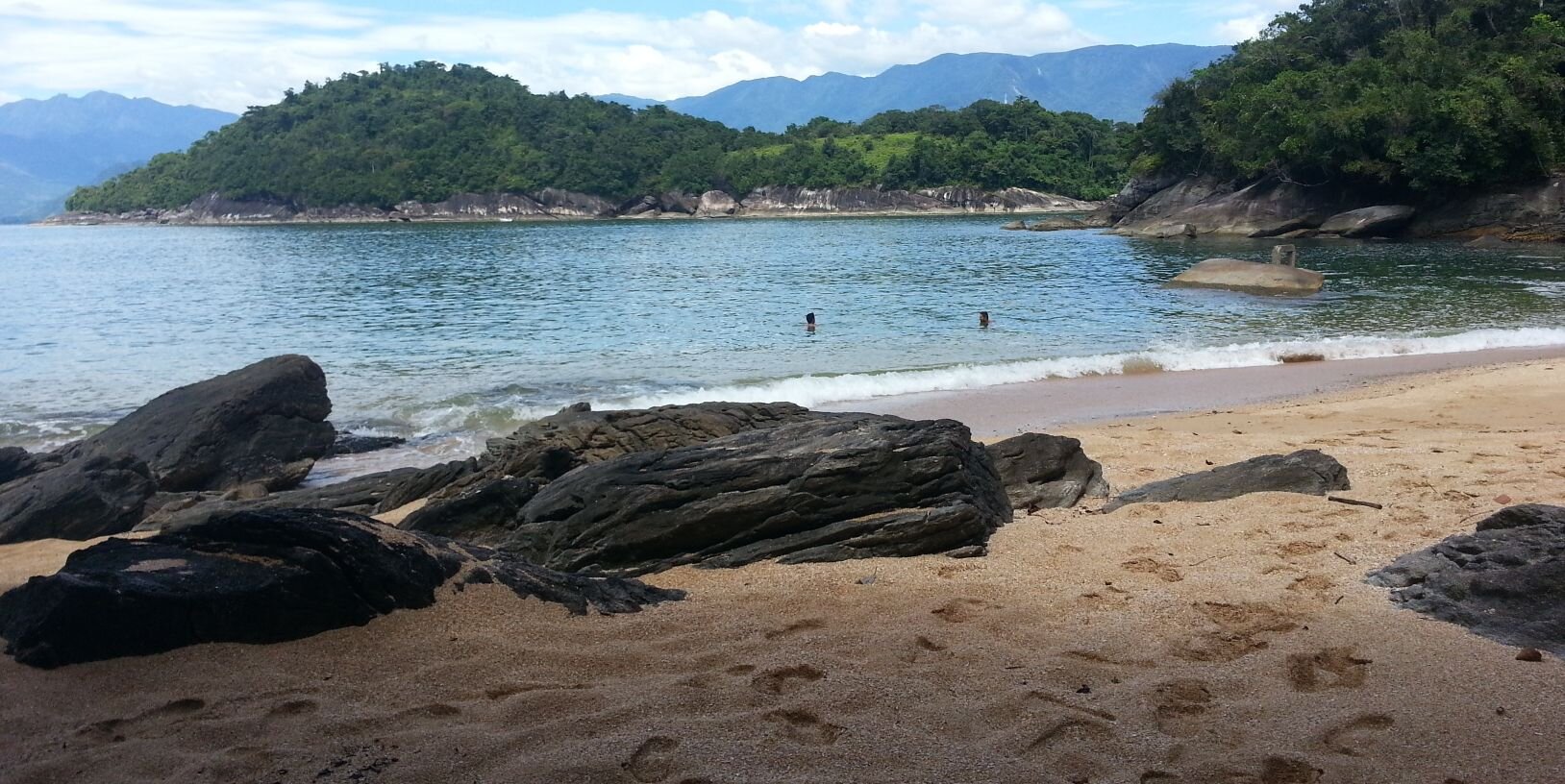 Luiz André Fernandes banner