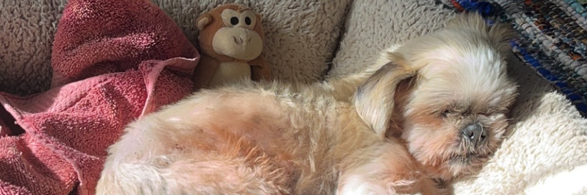 mariel_d_'s profile banner image