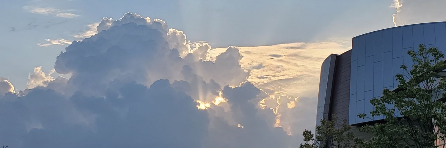 kelseyscaras's profile banner image