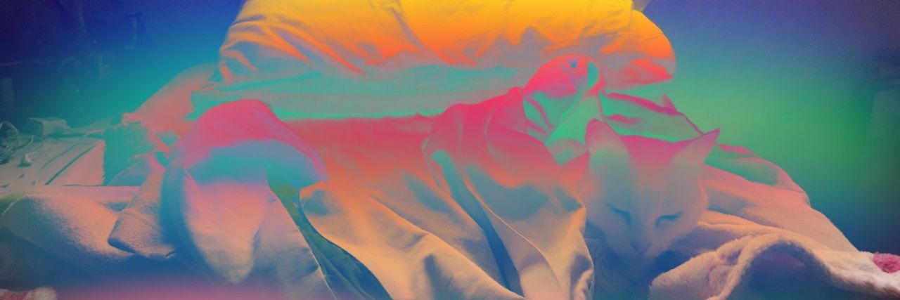 RooHermida's profile banner image