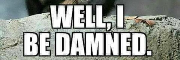 Tezyana Profile Banner