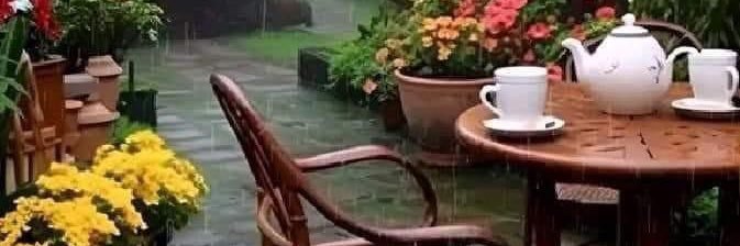 Beatriz Andrade banner