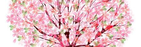 blischa's profile banner image