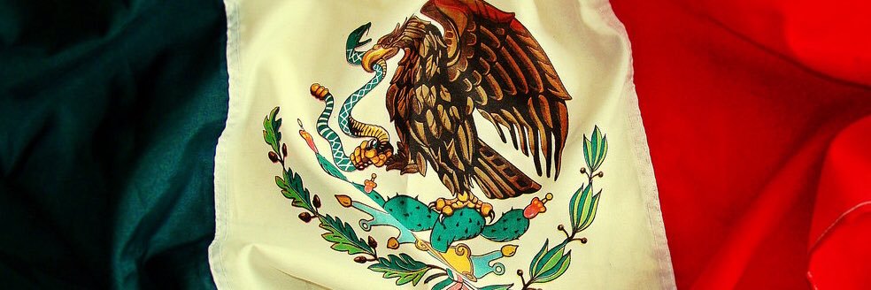 Salvador Molly banner