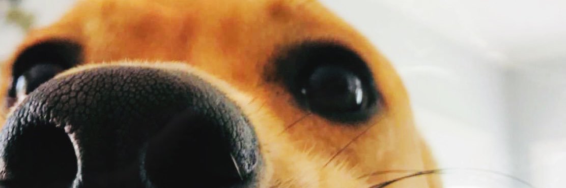 Kay_Zizzle's profile banner image