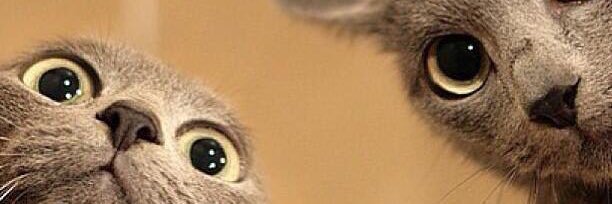 muhdismaill's profile banner image